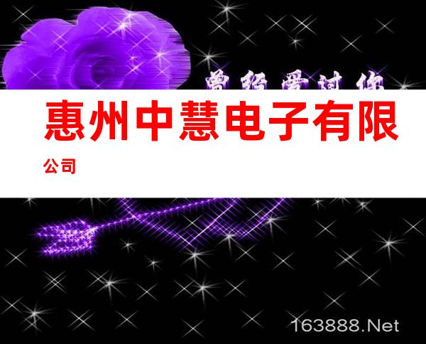 惠州中慧电子有限公司